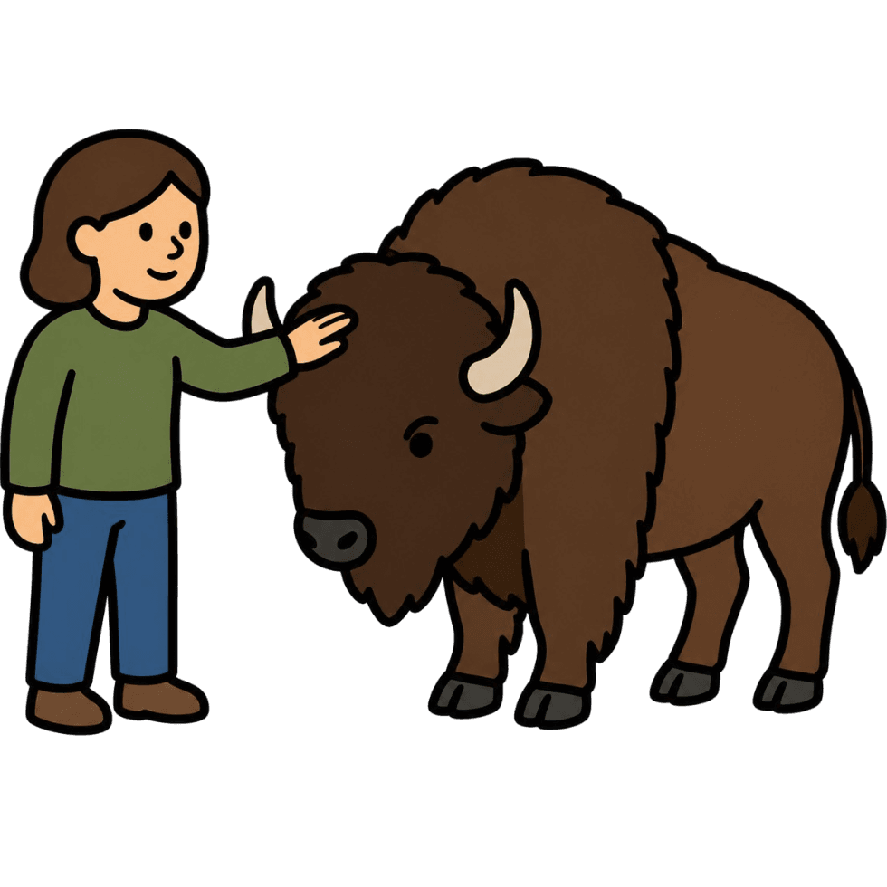 Pet the Bison